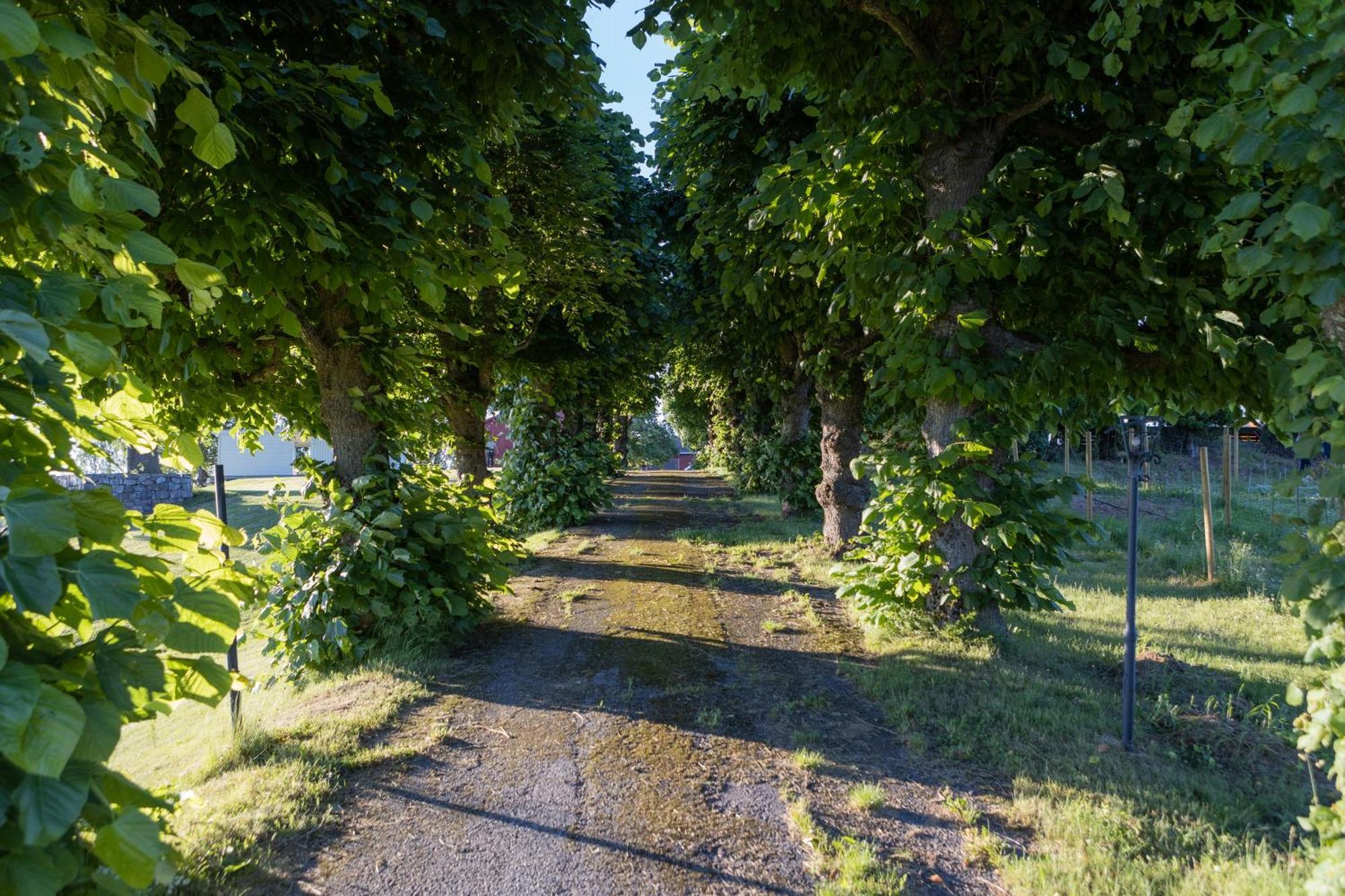Dal Gjestegaard Skoppum Exteriér fotografie